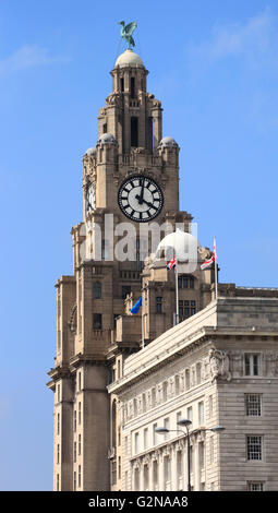 The Royal Liver Building, Liverpool, England, Europe Stock Photo