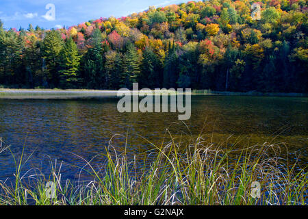 Fall foliage at Lake Elligo in Orleans County, Vermont, USA. Stock Photo