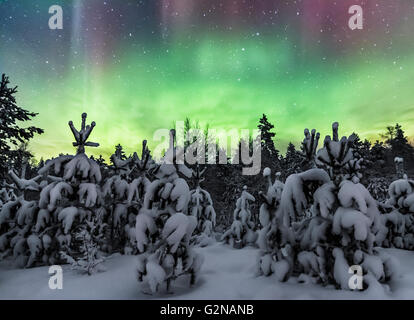 Christmas auroras Stock Photo