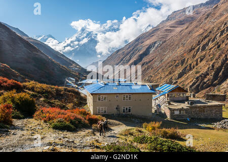 High altitude village of Yak Kharka. Stock Photo
