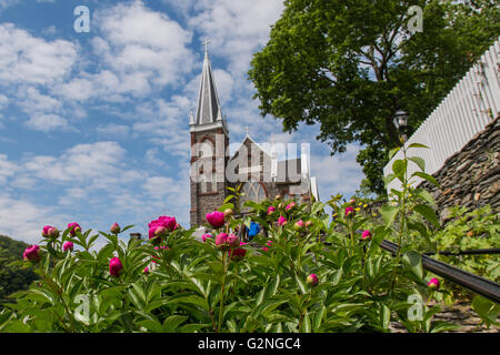 Dahlias on the Climb to Saint Peters in Harpers Ferry Stock Photo