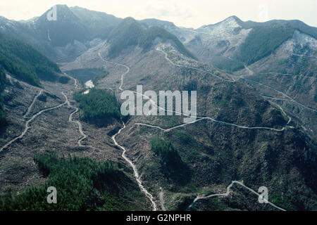 Clearcut of Ancient Temperate Rainforest, Clayoquot Sound, Vancouver Island, British Columbia, Canada. Stock Photo