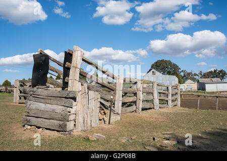 An old Weathered Timber Sheep and Cattle Loading Ramp at Uralla NSW Australia Stock Photo