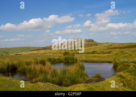 Looking towards the Cheesewring on Bodmin Moor in East Cornwall Stock Photo