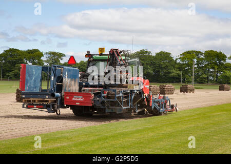 Brouwer RoboMax Automatic Roll Sod Harvester harvesting turf in Lancashire, UK. Commercial growing of turf on rented land as a rotational crop. There is always a high demand for sports turf at stadiums, golf courses and other facilities throughout the country and the boom in new house building is creating a demand that means increasing acreage has been made over to grassland this year. Stock Photo