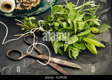 Thyme, Sage and Rosemary with Laurel bundled with cotton string and old rusty scissor on Slate board Stock Photo