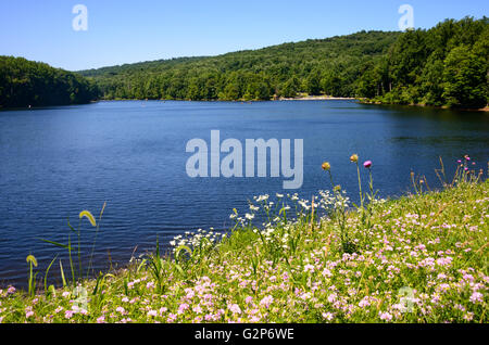 Cunningham Falls State Park Stock Photo