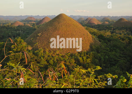 Chocolate Hills on Bohol in sunset light, from the main viewpoint, Philippines Stock Photo