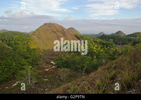 Chocolate Hills on Bohol, Philippines Stock Photo