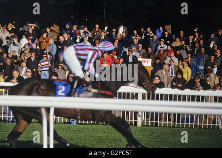 Horse race meeting. Huntingdon. Cambridgeshire. England. UK Stock Photo