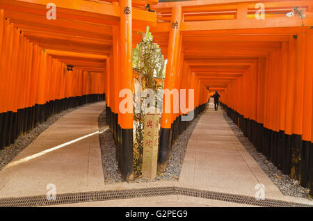 Japan, Kyoto, Fushimi Inari Taisha shrine, Corridor of vermillion  torii, the famous thousand toriis, double corridor. Stock Photo