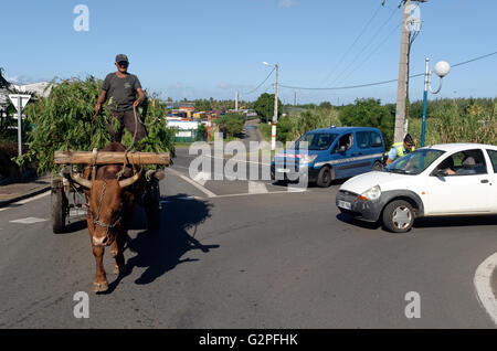 May 31, 2016 - Etang-SalÃ, Reunion island, France - Exercise of civil security NOVICAREX, simulating a school bus accident extensive and implementing the ORSEC ''NoVi'' (for numerous victims), took place Tuesday morning at Etang SalÃ © Valerie Koch/ZUMA Wire/Alamy Live News Stock Photo