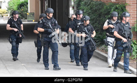Westwood CA. 1st June, 2016. LAPD SWAT at UCLA after a murder-suicide Wednesday morning at UCLA left two dead, and prompted a campus-wide lockdown, according to the Los Angeles Police Department.'At about 10 this morning, a homicide and a suicide occurred on the southside, ' Los Angeles Police Chief Charlie Beck said in a news conference. 'It appears it was entirely contained. We believe there are no suspects outstanding and no continued threat to UCLA campus. We're in the process of releasing the campus. © Gene Blevins/ZUMA Wire/Alamy Live News Stock Photo