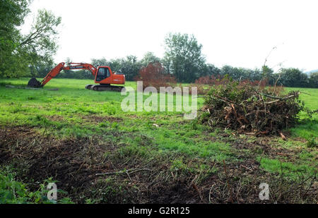 Logs and wood cleared from a ditch in rural Somerset, near the village of Cheddar, Somerset, May 2016 Stock Photo