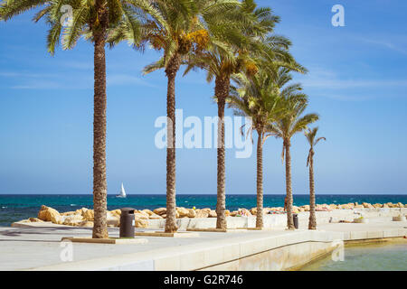 TORREVIEJA, SPAIN - SEPTEMBER 13, 2014: Sunny Mediterranean beach, promenade with palm trees, boat on the coast, Torrevieja Stock Photo