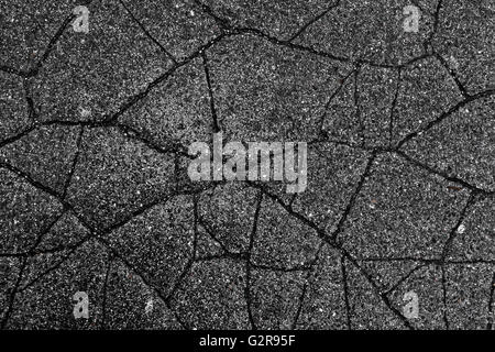 Wet cracked asphalt Stock Photo