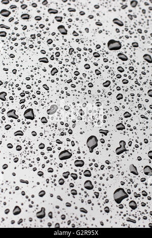 Water drops on car paint Stock Photo