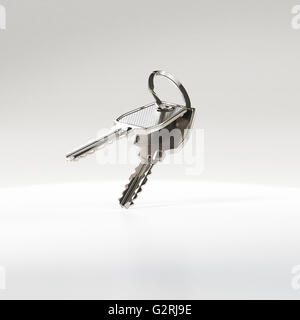 Two keys on a ring. Stock Photo