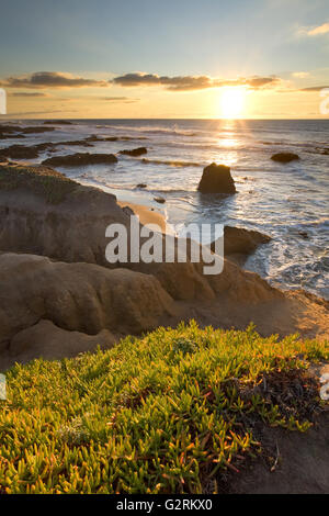 Pescadero State Beach, along California's Pacific Coast Highway, in lovely sunset colors Stock Photo