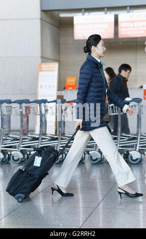 Incheon, South Korea - February 15, 2016: Asian Korean air flight stewardess at Incheon International airport. It is one of the Stock Photo