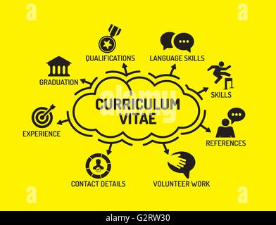 Curriculum Vitae. Chart with keywords and icons on yellow background Stock Vector