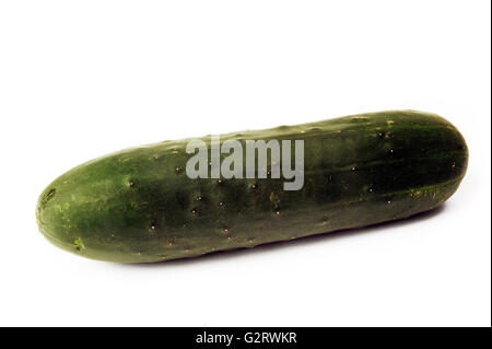 isolated on white background in studio cucumber Stock Photo