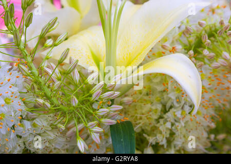 fresh cut flowers in an arrangement Stock Photo
