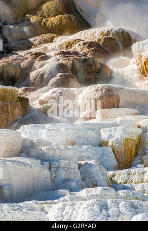 Mammoth Hot Springs is a large complex of hot springs on a hill of travertine in Yellowstone National Park, Wyoming. Stock Photo