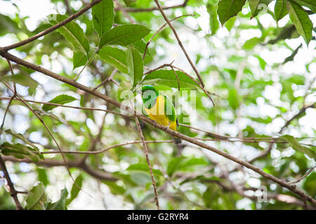 El Nido park in Ixtapaluca Mexico Stock Photo