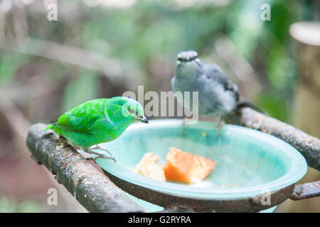 El Nido park in Ixtapaluca Mexico Stock Photo