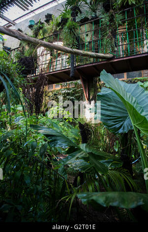 El Nido park in Ixtapaluca Mexico Stock Photo