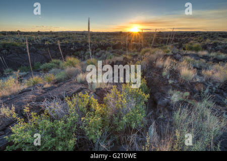 Valley of Fires Recreation Area, New Mexico, USA. Stock Photo