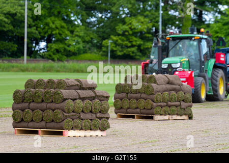 Turf growing in Burscough, Lancashire Stock Photo