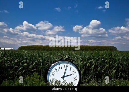 Big clock at noon in a green field Stock Photo - Alamy
