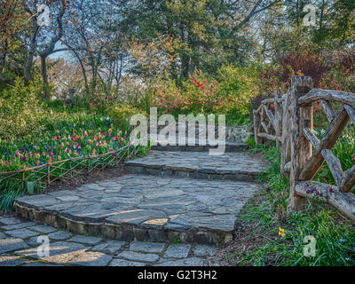 Central Park, New York City Shakespeare Garden Stock Photo