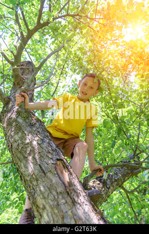 Smiling boy on tree. Summer time! Stock Photo