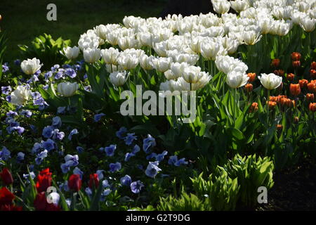 The 2016 Tulip and Theatric Festival at the Yelagin Island Central Park in Saint Petersburg Stock Photo