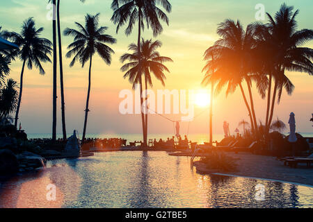 Amazing sunset on palm coast in the subtropics. Stock Photo