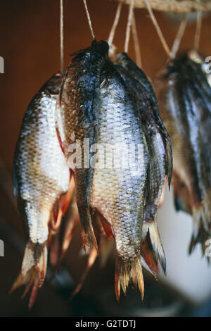 dried fish hanging on a rope Stock Photo
