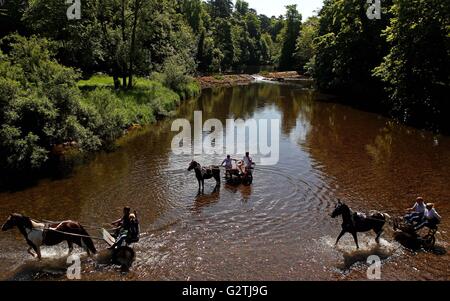 Travellers on horse and traps in the river Eden on day two of the Horse Fair in Appleby, Cumbria, which is an annual gathering of gypsies and travellers. Stock Photo