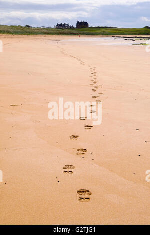Line of footprints leading away in sand along Fife Coastal Path low tide route with walker in distance. West Beach Elie and Earlsferry Fife Scotland Stock Photo