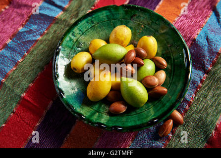 Fresh Argan fruits and Argan nuts (Argania spinosa), Morocco Stock Photo