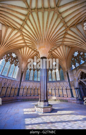 Vaulted ceiling of the Chapter House of the medieval Wells Cathedral, English Gothic style, Wells, Somerset, England Stock Photo