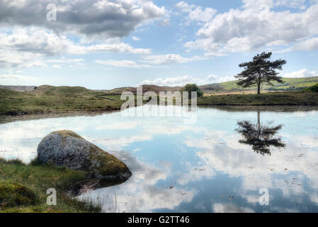 Kelly Hall Tarn, Torver, Lake District, Cumbria, England, UK Stock Photo