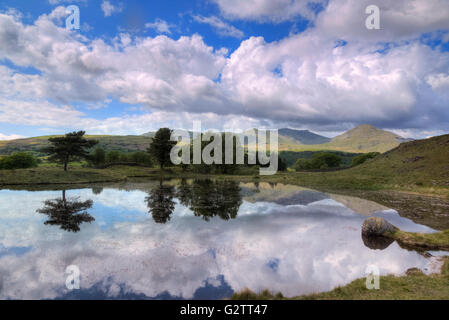 Kelly Hall Tarn, Torver, Lake District, Cumbria, England, UK Stock Photo
