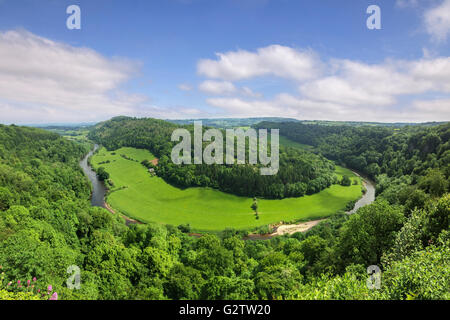 The Wye Valley from Symonds Yat Rock, Gloucestershire, England, UK, in early summer. Stock Photo