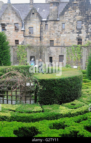 Scotland, Glasgow, Provand's Lordship, Physic Garden. Stock Photo