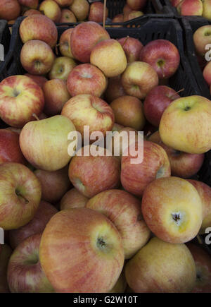 Apples for sale at the farmers market at Union Square, Manhattan, NYC. Stock Photo