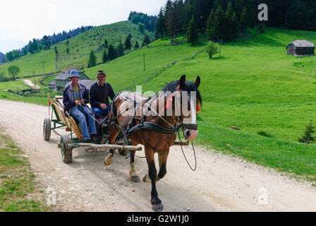 Horse carriage in the village in Subcarpathian, Romania, Transilvania, Transylvania, Siebenbürgen (Transsilvanien) , Fundata Stock Photo