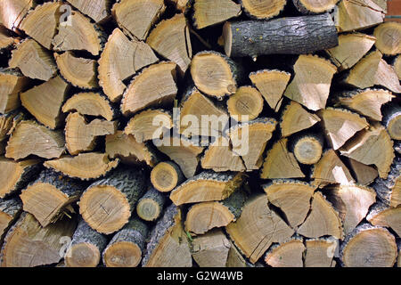 Harvested for winter firewood Stock Photo